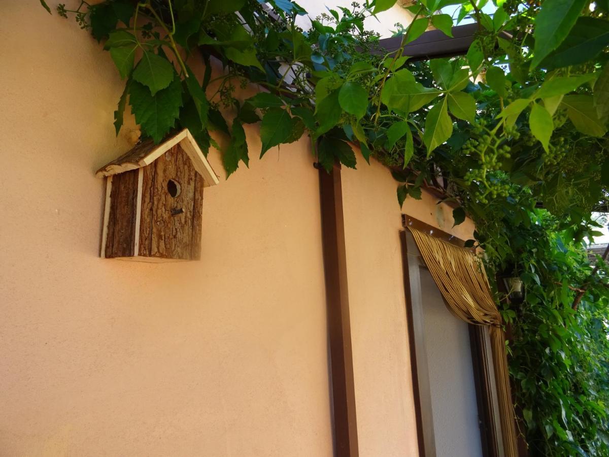 La Muntanya - Apartamentos Rural Guadalest Benimantell Extérieur photo
